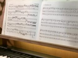 MS TD Organist looking in music book and playing organ / Saarburg, Rhineland-Palatinate, Germany Stock Footage