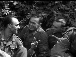 GOOD NEWS IN THE WEST - News Clip