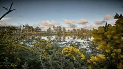 Seascape, Oregon Coast Stock Footage