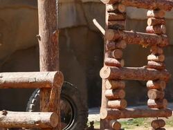 Panda bear toys in the zoo Stock Footage