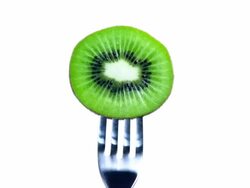 KIWI ON ROTATING FORK-LOOPED-1080HD Stock Footage