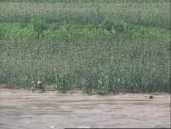 Heavy floods devastate crops, WFP and Japanese reax News Clip
