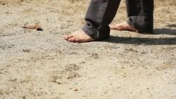 Walk on floor Stock Footage