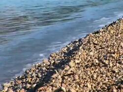 HD: The shore Stock Footage