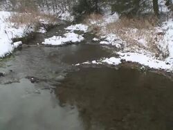 HD CRANE: Winterlandschaft mit Bachlauf und BÃ¤umen Stock Footage