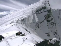 WS TD Yak caravan at Phoksundo lake near mountain  / Himalayas, Upper Dolpo, Nepal    Stock Footage