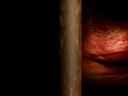 behind the bars Stock Footage