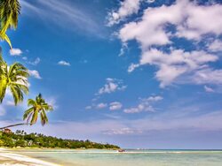 Tropical beach Stock Footage