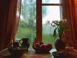 rainy weather Stock Footage