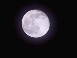 The full moon Stock Footage