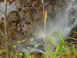 HD: Forest Creek Waterfall Stock Footage