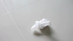 Kitten playing toy. Stock Footage