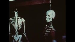 News Item (5bd9a572-c853-e7f8-7338-fc8717c58984) Instructional Video