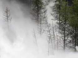 HD Flood Waves Destroying Forest Slow Motion (Loopable) Stock Footage