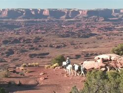 MS ZO Women Riding Horses into Spectaculair Red Rock Mountains, Majestic Western Landscapes / Telluride, Colorado, United States Stock Footage