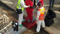 Rescued migrants arriving in Sicily News Clip