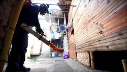 CLEAN : STOCKSHOTS: Florida local Zika transmission likely - official News Clip