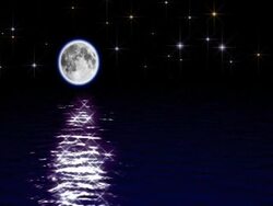 Crystal Moonlit Waters Stock Footage