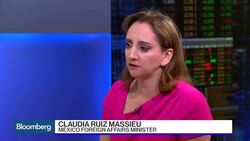 Massieu: U.S.-Mexico Relationship Goes Beyond Governments News Clip