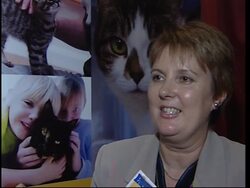 UK 'Rescue cat of the year award' celebrates felines News Clip