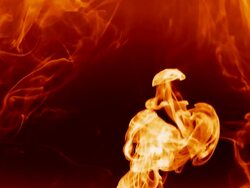 Warm slow smoke Stock Footage