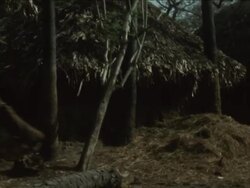 SYND 05/06/1969 SEVERE DAMAGE AND FLOODS CAUSED BY CYCLONE IN INDIA News Clip