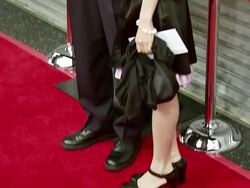 'Balls of Fury' Los Angeles Premiere Stock Footage