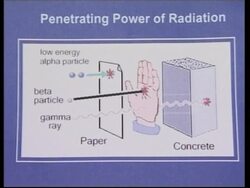 Expert on radiation comments on the effects of polonium in humans News Clip