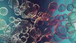 Wireframe Baseball Stock Footage