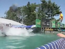 IS IT A BIRD? IS IT A PLANE? NO, ITS MY FLYING DOG Stock Footage