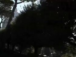 ATMOSPHERE - Vatican City General Views on February 19, 2013 in Vatican City, Vatican. (Footage by Getty Images) Stock Footage