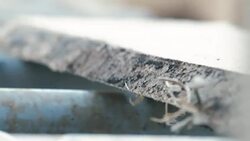 Lumber industry - Conveyors of logs in front of cutting machines. Stock Footage