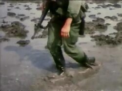1967 medium shot tilt down US troops trudging through rice paddies / Vietnam Stock Footage