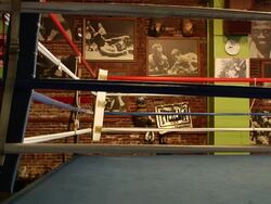 Atmosphere: Joe Frazier Gym Stock Footage