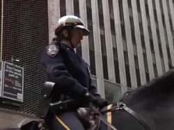 Mounted NYPD police officer in Manhattan News Clip
