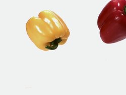MS SLO MO Red and yellow capsicum falling on floor against white background / Vieux Pont, Normandy, France  Stock Footage