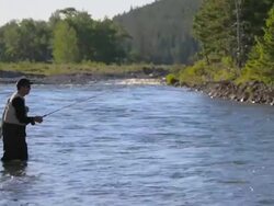 Fly Fishing in Scenic River Stock Footage