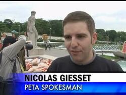 About 30 animal rights activists dressed only in their underwear protested aginst bullfighting in front of a bull sculpture across from the Eiffel Tower. Instructional Video