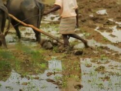 Ploughing Stock Footage