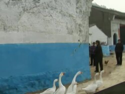 Mark Stone visits Luotuowan re. Xi Jinping News Clip