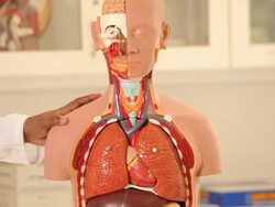 "TU medical professor lecturing/Richmond,Virginia, USA" Stock Footage