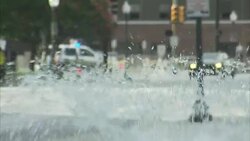 Stock Shots Texas School Book Depository News Clip