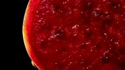 Cactus pear slowly turning with black background Stock Footage