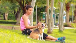 Young asian woman listen music with her dog Stock Footage