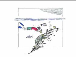 Snorkeler with camera Stock Footage