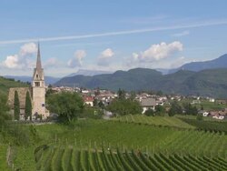 Tramin in South Tyrol and its Vineyards PAN Stock Footage