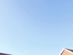 Immigrant Workers Willing to do Unpopular Jobs News Clip