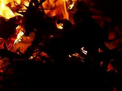 Camp fire Stock Footage