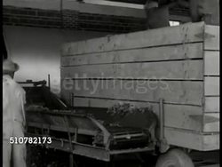 Drying Kudzu into feed Instructional Video