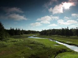 Stream that is lost away  Stock Footage